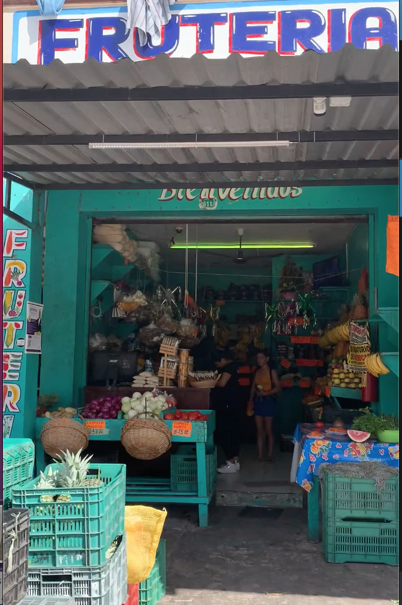 HOW TO THRIVE IN PLAYA DEL CARMEN...ONCE YOU GET THERE!