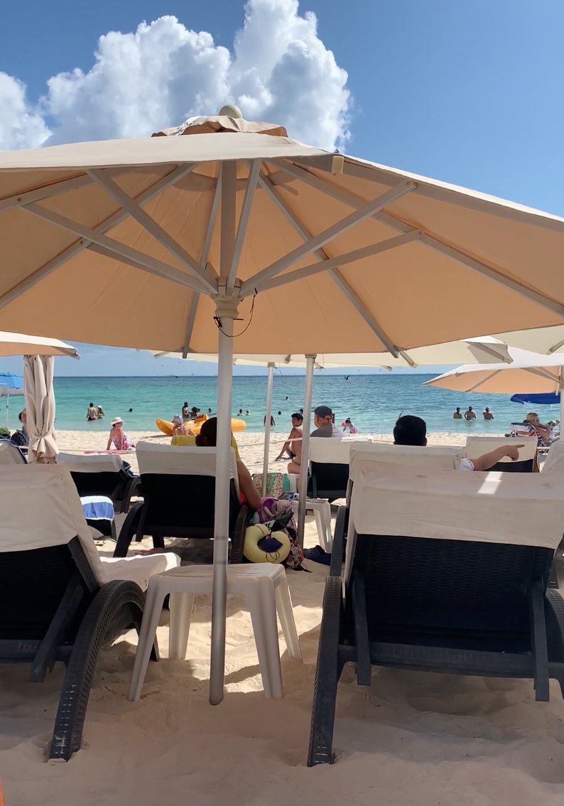 HOW TO THRIVE IN PLAYA DEL CARMEN...ONCE YOU GET THERE!