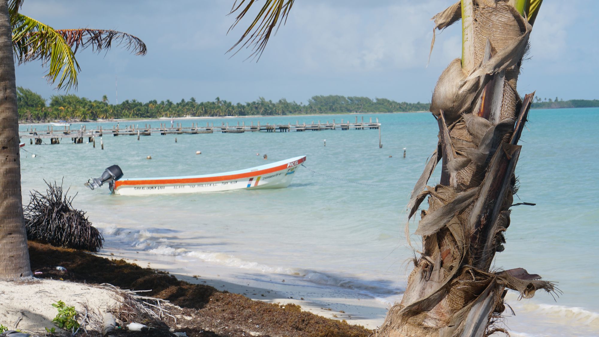 Tulum, Tacos, Turtles and PEARLS!