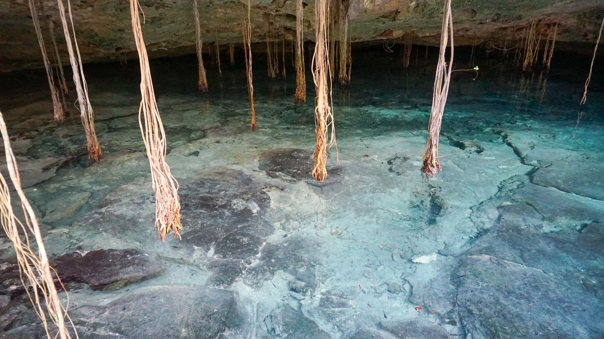 Tulum, Tacos, Turtles and PEARLS!