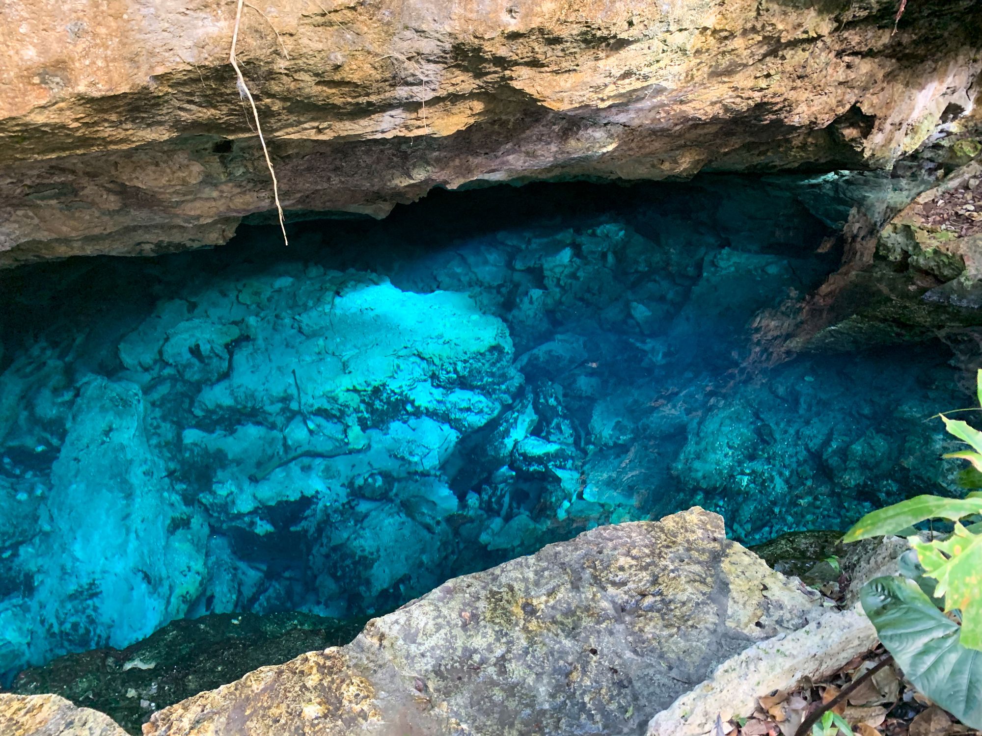 Tulum, Tacos, Turtles and PEARLS!