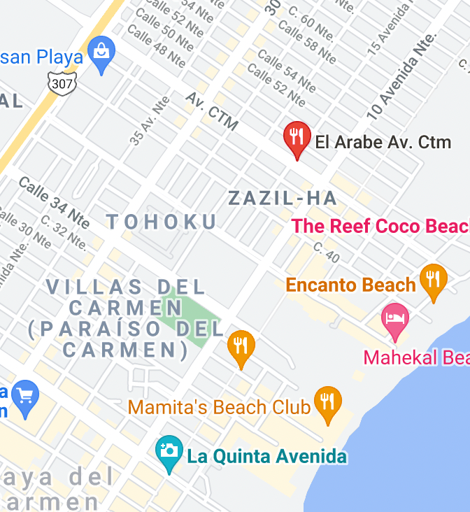 You've Gotta Try These Restaurants....in Playa del Carmen